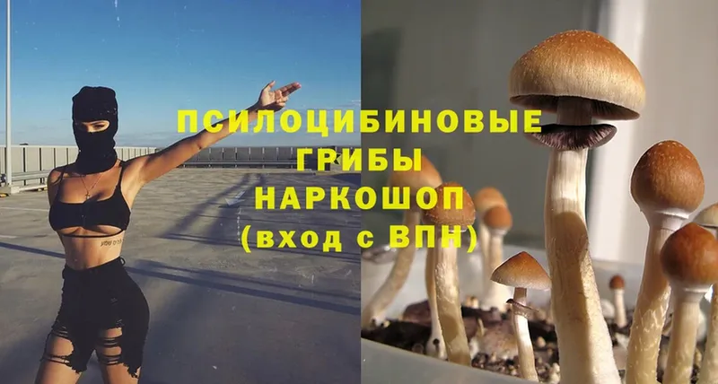 Псилоцибиновые грибы Magic Shrooms  Новошахтинск 